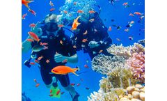 ROVs and USVs vehicles solutions for science sector