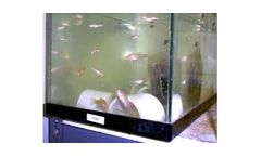 Aquatic Toxicity Testing Services