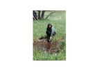 Lake and Stream Surveys/Watershed Diagnostic Studies