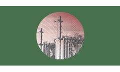 Structural Integrity - Version PlantTrack - Plant Material Inspection Analysis