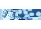 Structural-Integrity - Metallurgical Laboratory Services