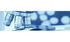 Structural-Integrity - Metallurgical Laboratory Services