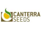 CDC - Model Neela - Oilseed Flax