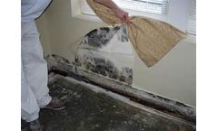 Mold Inspections