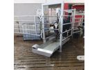 Cowcare - Automated Cow Footbath System