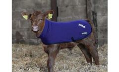 Allflex - Calf Coat