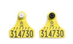 Junior - Model TST - Primary and Senior Ultra Secondary Tissue Sampling Tags