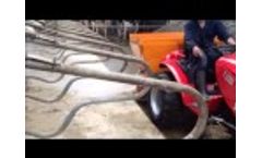 Flingk Video