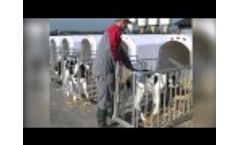 CalfOTel Comfort Video