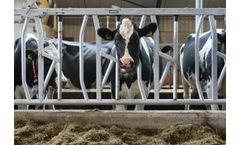 David R Beech - Self Locking Feed Yokes