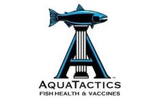Regulatory Consult Services