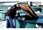 Fish Health Services