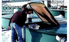 Fish Health Services