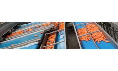 Murre-Techniek - Vegetables processing Service