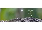 Agriculture Solutions