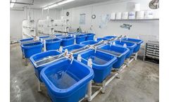 Troutlodge - Innovative Trout Breeding Services