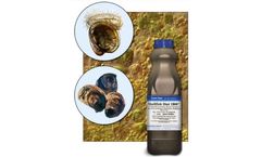 Reed Mariculture - Model 1800 - Shellfish Diet
