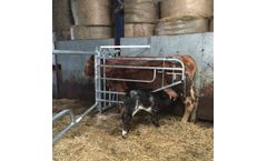 Tim-Gibson - Model 11FT-15FT - Galvanised Calving Gates