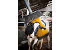 Tim-Gibson - Model KVIA - Molly Cow Brush