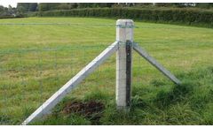 Tim-Gibson - Model Ox - Concrete Strain Posts