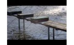 FIAP Belt Feeder Standard the Most Frequently Deployed Automatic Feeder in Pisciculture Worldwide Video