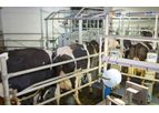 Agromilk - Buffalo Milking Parlour