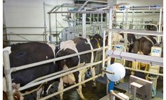 Agromilk - Buffalo Milking Parlour