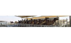 Agromilk - Camel Milking Systems