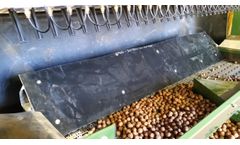 Wizard Manufacturing - Hazelnuts Cleaning Plant