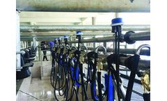 Waikato - Model EL - Herringbone Milking Machines