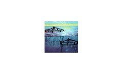 Submersible Net Cages for Offshore Farming