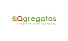 Biofuel from Waste