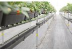 Galuku - Model 9L Pot Version - Hi-Grow Strawberry Tabletop System