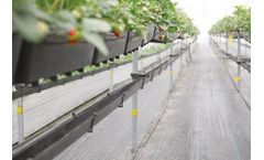 Galuku - Model 9L Pot Version - Hi-Grow Strawberry Tabletop System