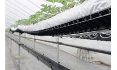 Galuku - Model Bag Base Version - Hi-Grow Strawberry Tabletop System