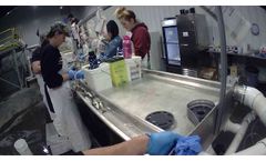 Fuerste Vaccination Services , Fish Vaccination - Video