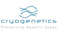 Gender Testing Services