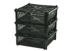 Morenot - Oyster Tray Grow-Out Systems