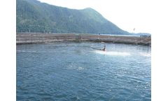 Morenot - Plankton Tarps