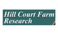Research and Consultancy Services