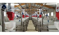 Eliopig - Plants for Liquid and Dry Feeding Systems