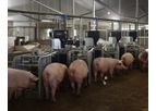 Model 4.0 - Breeding Farm