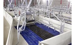 Eliopig - Pig Farrowing Crates