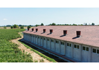 Eliopig - Breeding Farm for Pigs