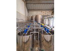 Eliopig - Breeding Farms for Calves