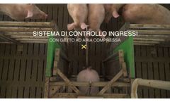 Swine Feeding Plant from Monselice - Video