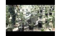 Spectrum Sprayers 3D Sprayer: Greenhouse Application Video