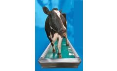 Fabdec - Model FOOT-WASH Pro - Automatic Footbath for Cows