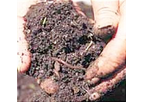 Soil Mineral Nitrogen