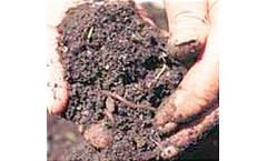 Soil Mineral Nitrogen
